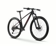 Horské kolo GHOST Lector Universal Raw Carbon/Metallic Rusty Red (1)