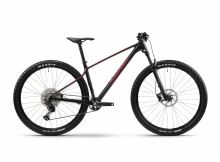 Horské kolo GHOST Lector Universal Raw Carbon/Metallic Rusty Red - XS